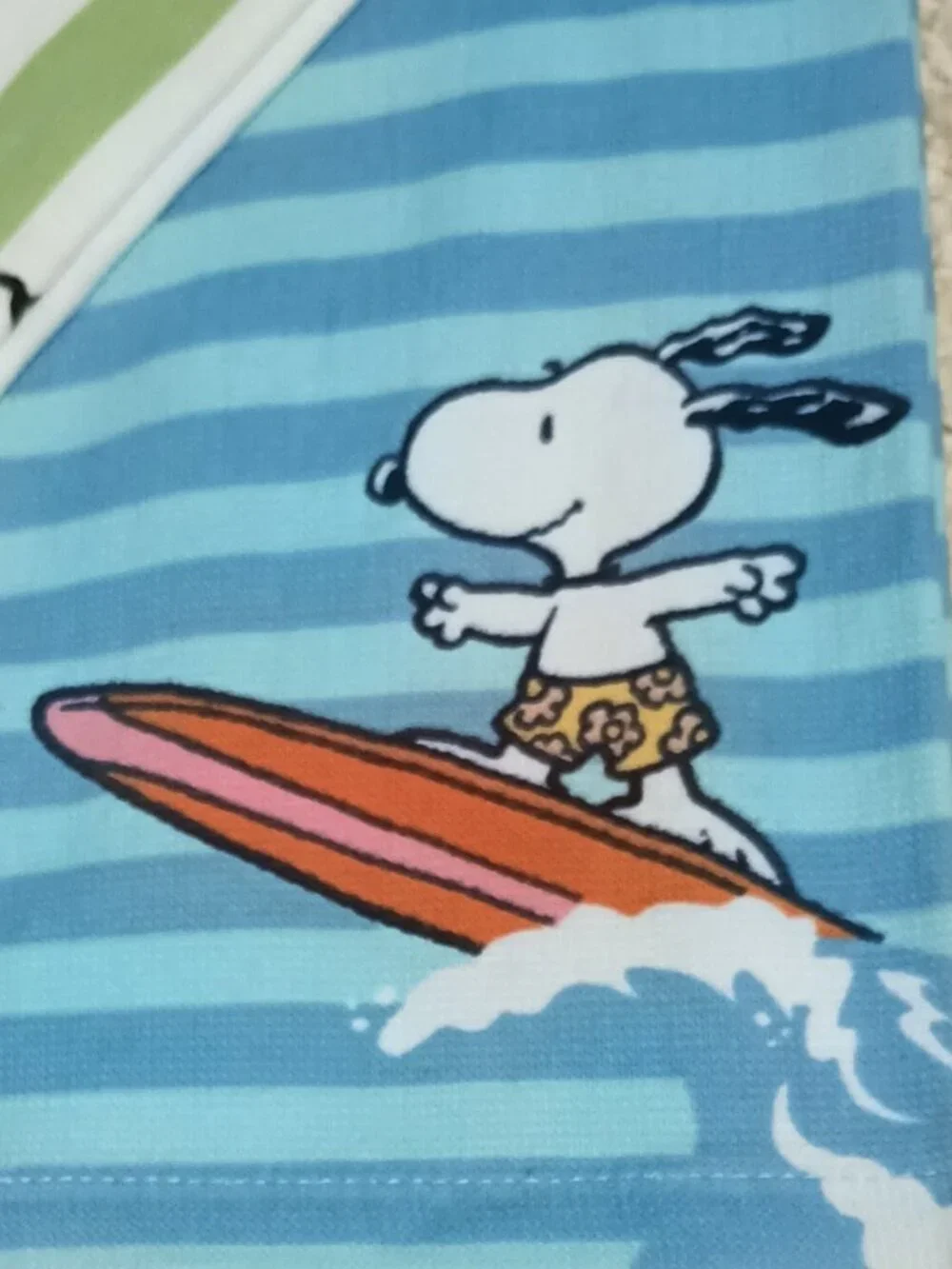 NWT ~ Celebrate Together Peanuts' Snoopy 2 Pack Summer Themed Kitchen Towels